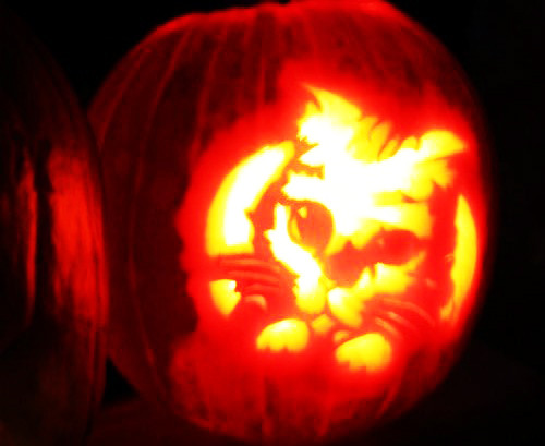 Những vườn bí ngô khổng lồ hút khách mùa Hallowen ảnh 3