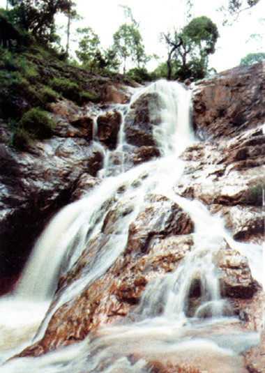 Tham gia du lịch mạo hiểm, khách Hàn Quốc tử vong tại thác Datanla ảnh 1