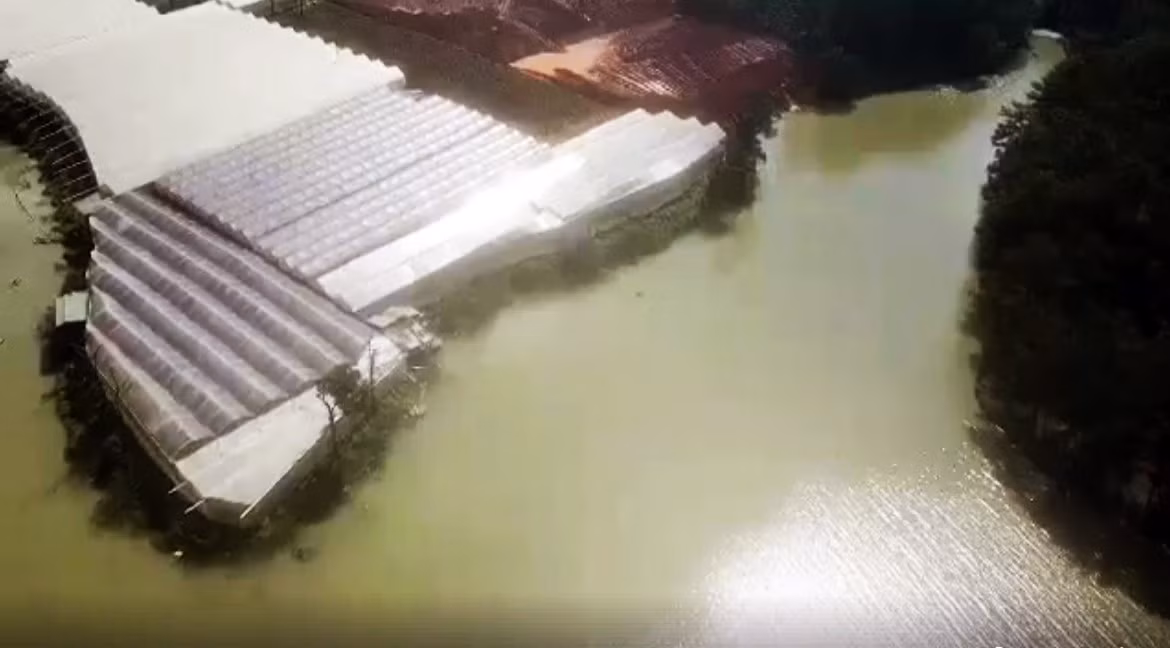 San bạt núi đồi đe dọa hồ cấp nước sinh hoạt của TP Đà Lạt ảnh 2