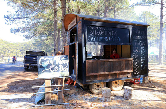 Du khách phản ứng việc bán vé thu tiền tham quan 'Cây thông cô đơn' ảnh 1