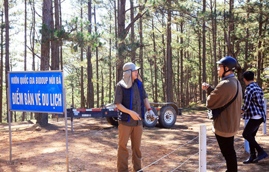 Du khách phản ứng việc bán vé thu tiền tham quan 'Cây thông cô đơn' ảnh 2