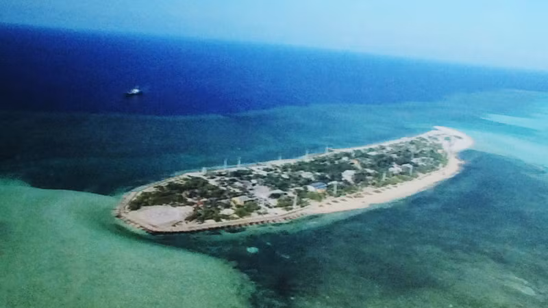 'Sức sống Trường Sa' qua triển lãm tại Đà Lạt ảnh 2