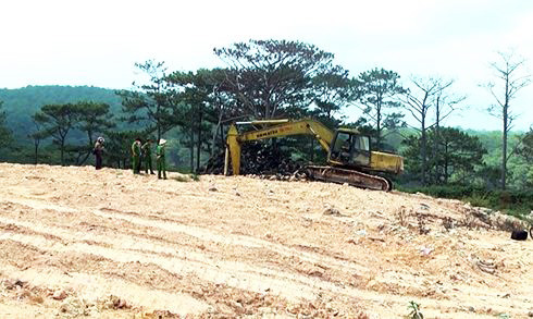 Chôn lấp rác trái phép, nhà máy xử lý bị phạt 350 triệu ảnh 3