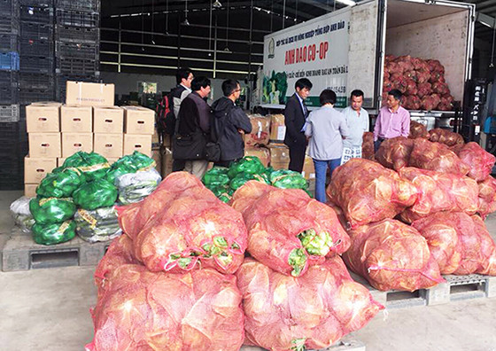 Chuyển quà Tết của Đà Lạt cho Trường Sa ảnh 3