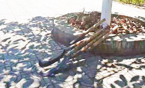 Bất ngờ kết quả điều tra vụ 2 phóng viên bị hành hung ở Lâm Đồng ảnh 2