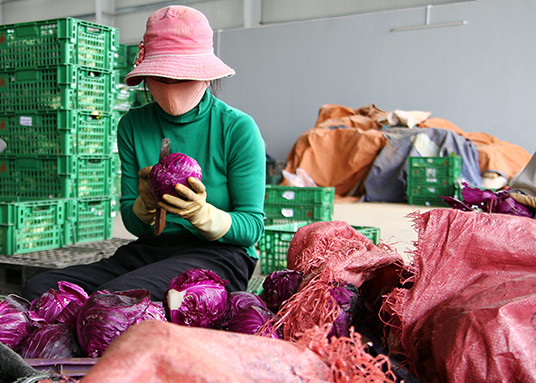 Chuyển quà Tết của Đà Lạt cho Trường Sa ảnh 1