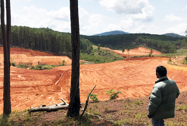 Lâm Đồng: Mặc lệnh cấm, nhiều phương tiện vẫn san bạt núi đồi ảnh 2