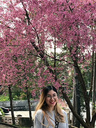 Chính thức công bố thời gian lễ hội hoa anh đào Đà Lạt ảnh 3