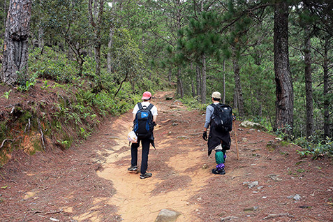 Tận thấy phong lá đỏ lãng mạn ở Đà Lạt ảnh 5