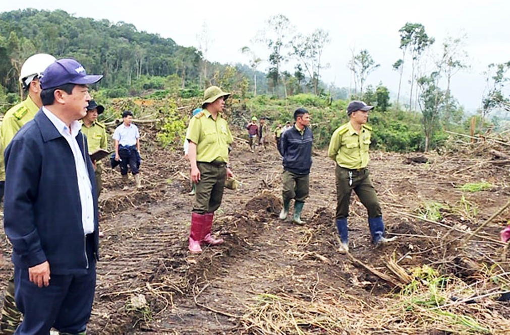 Khởi tố 3 đối tượng ngang nhiên mở đường, triệt hạ rừng bằng xe cơ giới ảnh 3