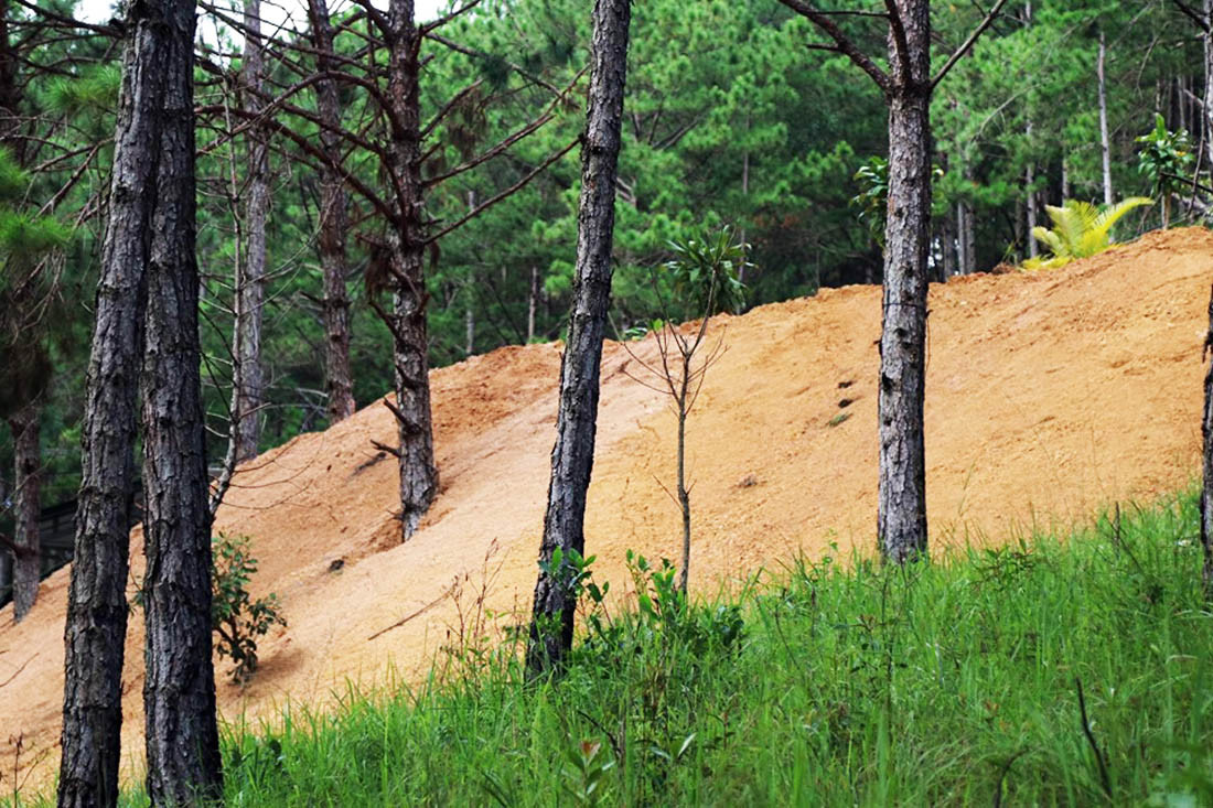 Phát hiện cả chục căn nhà không phép 'mọc' giữa rừng thông Đà Lạt ảnh 3