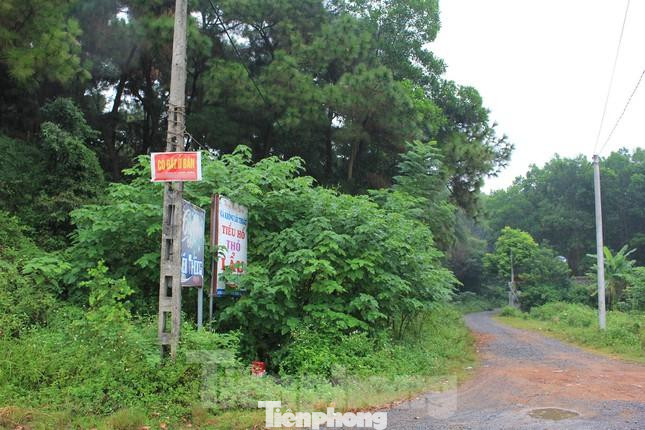 Biển rao bán đất xuất hiện tràn lan hai bên đường khu vực các xã Hiền Ninh, Minh Phú, Minh Trí. Biển rao bán đất xuất hiện tràn lan hai bên đường khu vực các xã Hiền Ninh, Minh Phú, Minh Trí.