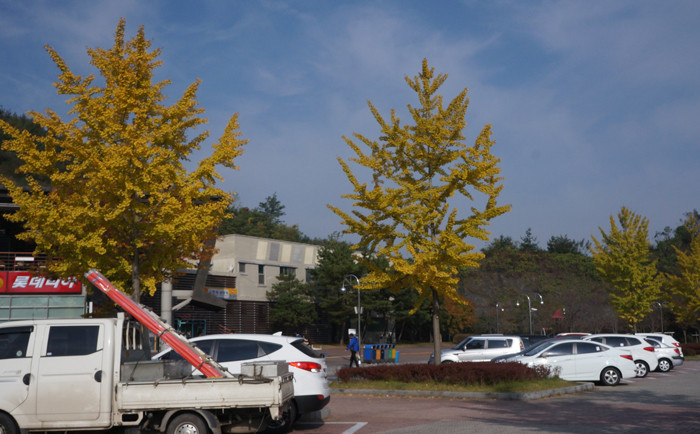 Tại một trạm nghỉ chân ở miền Trung Hàn Quốc. Tại một trạm nghỉ chân ở miền Trung Hàn Quốc