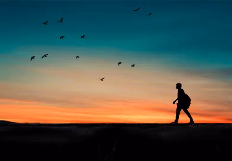 Sự cô độc trong hành trình đi tìm bình yên, là không có ai đồng cảm và thấu hiểu.
