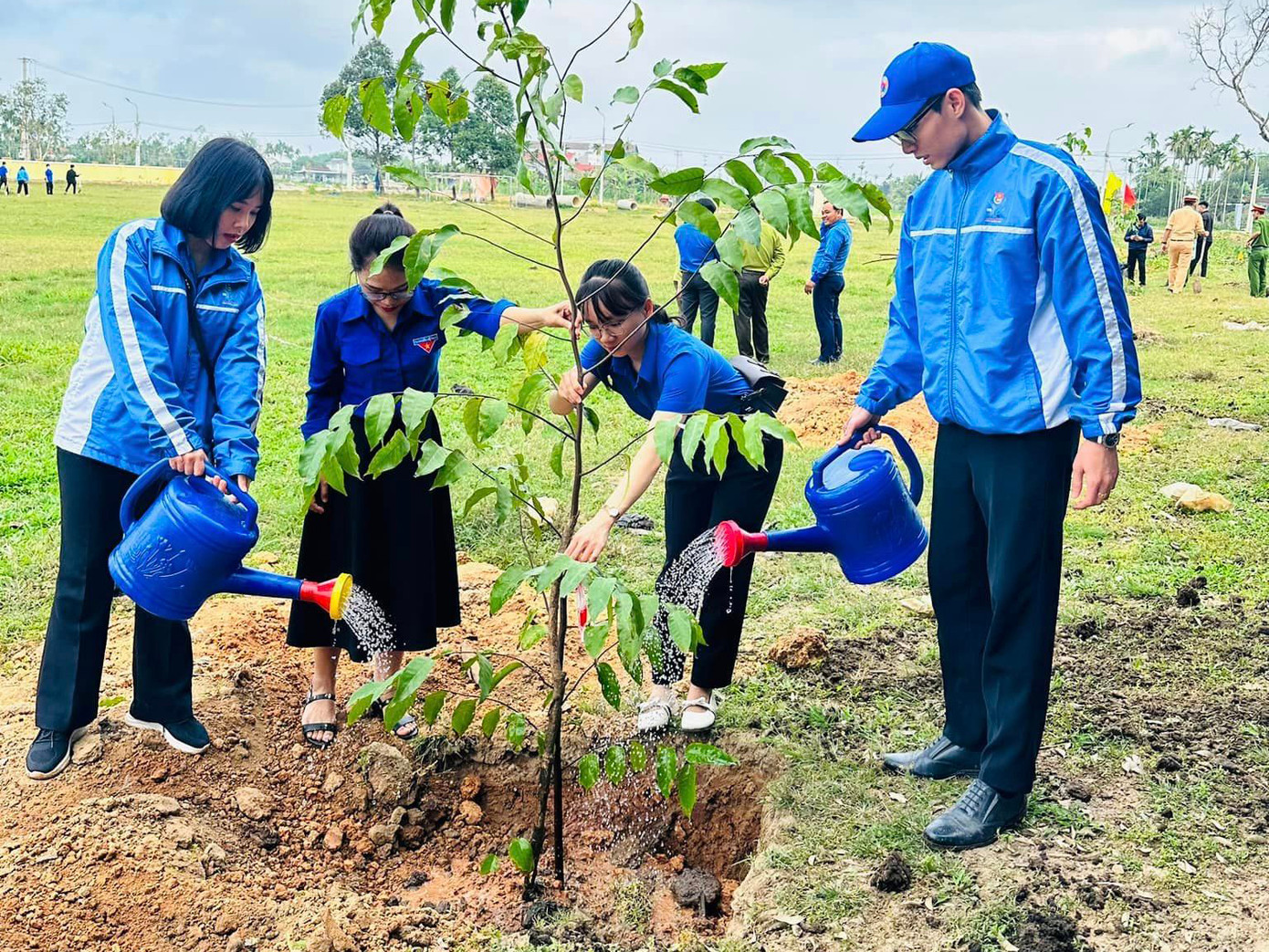 Đoàn viên thanh niên Quảng Ngãi trồng cây. Ảnh: TĐQN