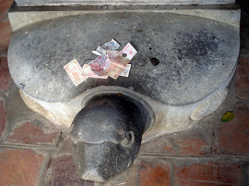 Để cả tiền lên đầu rùa để cầu mong thi tốt Phải sờ thế này mới yên tâm được