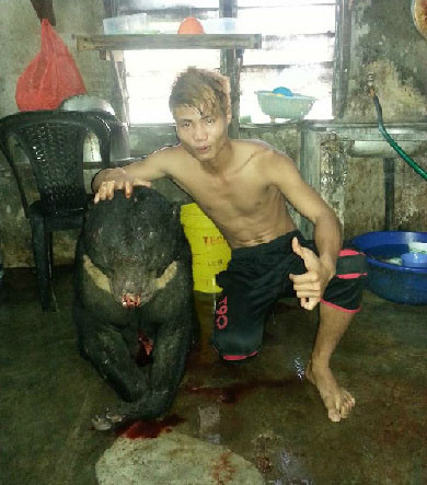 Hình ảnh tạo dáng phản cảm của thanh niên bên con gấu đã bị giết được đăng tải trên facebook cá nhân 