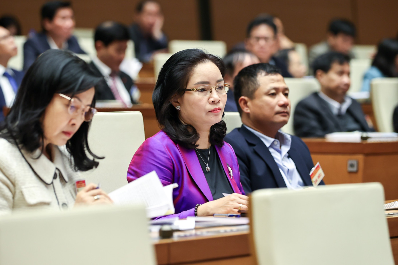 Các đại biểu tham dự hội nghị. Ảnh Như Ý