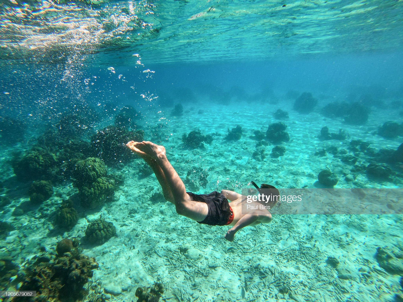 Playa Larga chắc chắn là một trong những bãi biển tốt nhất ở Cuba cho các hoạt động như lặn biển.