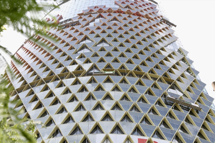 Hình ảnh “vảy rồng” bước ra thực tế