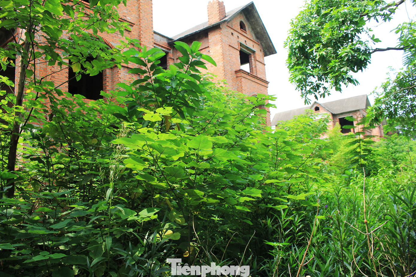 Mặc dù vậy, các biệt thự bỏ hoang trên địa bàn tỉnh Bắc Ninh vẫn liên tục được rao bán với giá cao. Ví dụ, qua khảo sát, giá biệt thự xây thô bỏ hoang ở Khu đô thị Hoàn Sơn đang có giá 31 - 33 triệu đồng/m2, còn biệt thự tại Khu đô thị Phúc Ninh có giá 42 - 48 triệu đồng/m2, tùy vị trí căn.