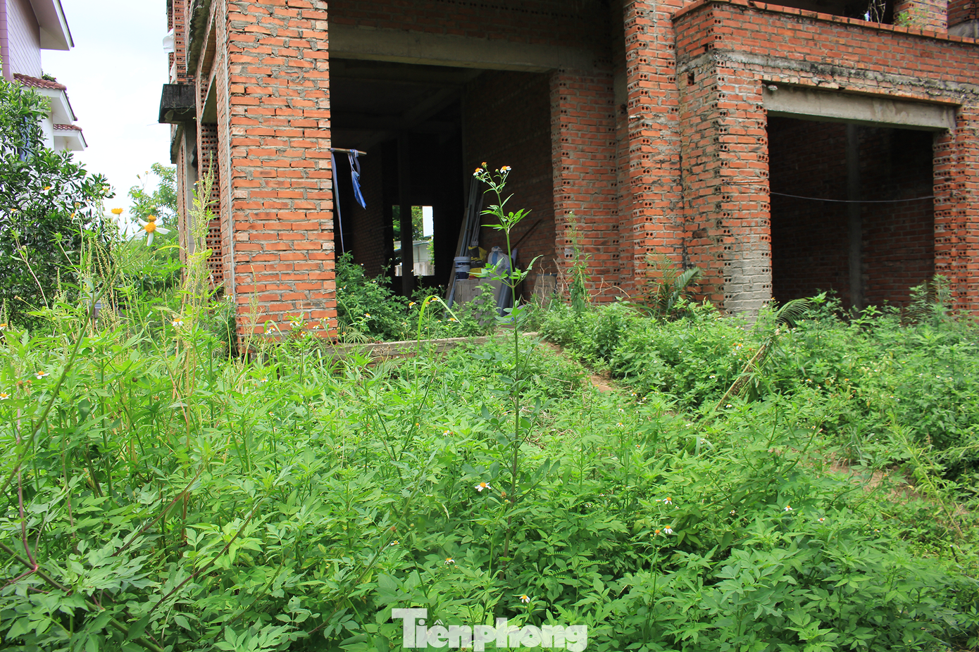 Tình trạng bỏ hoang, xuống cấp cũng diễn ra tại Khu đô thị Phúc Ninh (phường Đại Phúc, TP Bắc Ninh).