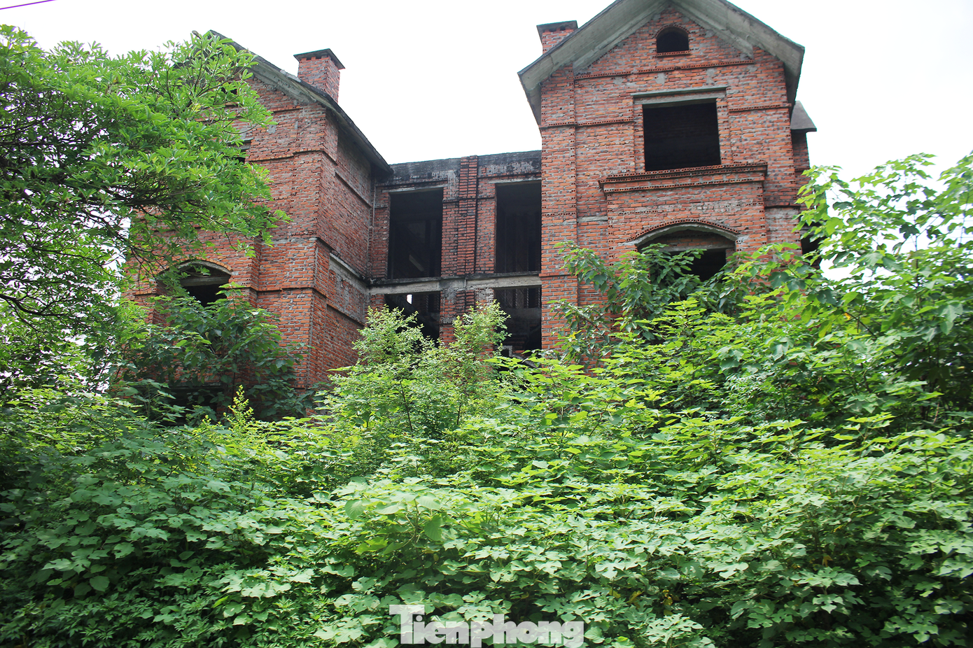 Cách Khu đô thị Hoàn Sơn không xa, là một khu đô thị khác cũng bỏ hoang lâu năm.