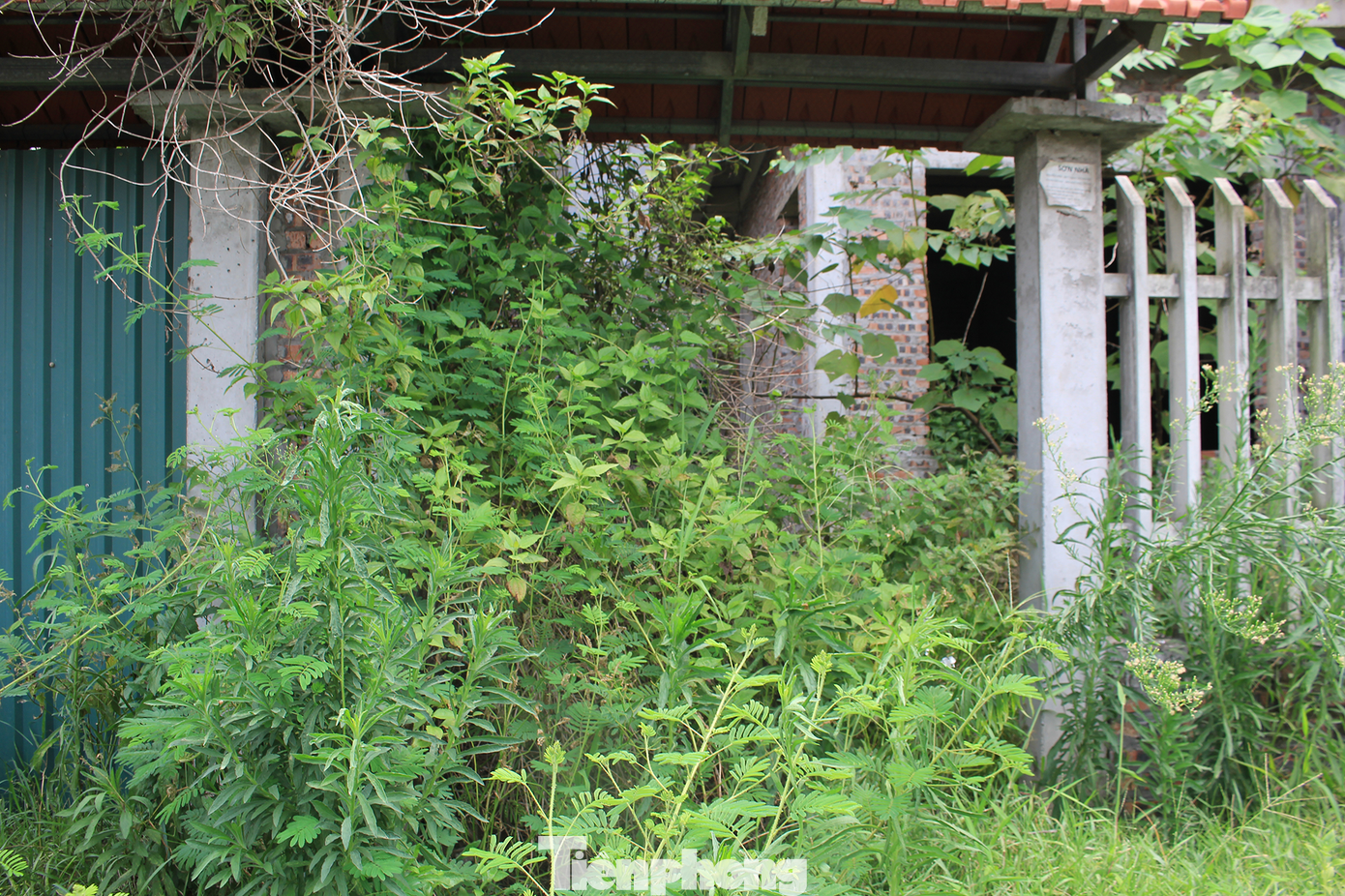 Cũng trên địa bàn phường Đại Phúc (TP Bắc Ninh), dãy biệt thự, shophouse trên đường Trần Nhật Duật ở cạnh hồ điều hòa Văn Miếu cũng bỏ hoang nhiều năm qua.