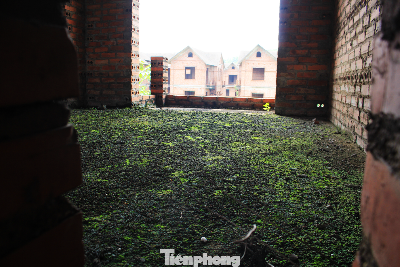 Theo các chuyên gia, ở Việt Nam, nhà đầu tư hay chủ đầu tư có kinh nghiệm không nhiều, nên dẫn đến việc đưa ra dự án không đúng thời điểm và trở thành “dự án chết”. Trong khi đó, trao đổi với Tiền Phong, ông Lê Hoàng Châu, Chủ tịch Hiệp hội Bất động sản TPHCM từng cho biết, trong phân khúc đất nền, người mua phần nhiều là nhà đầu tư lướt sóng, nên mới có tình trạng dự án đã xong nhưng bị bỏ hoang...