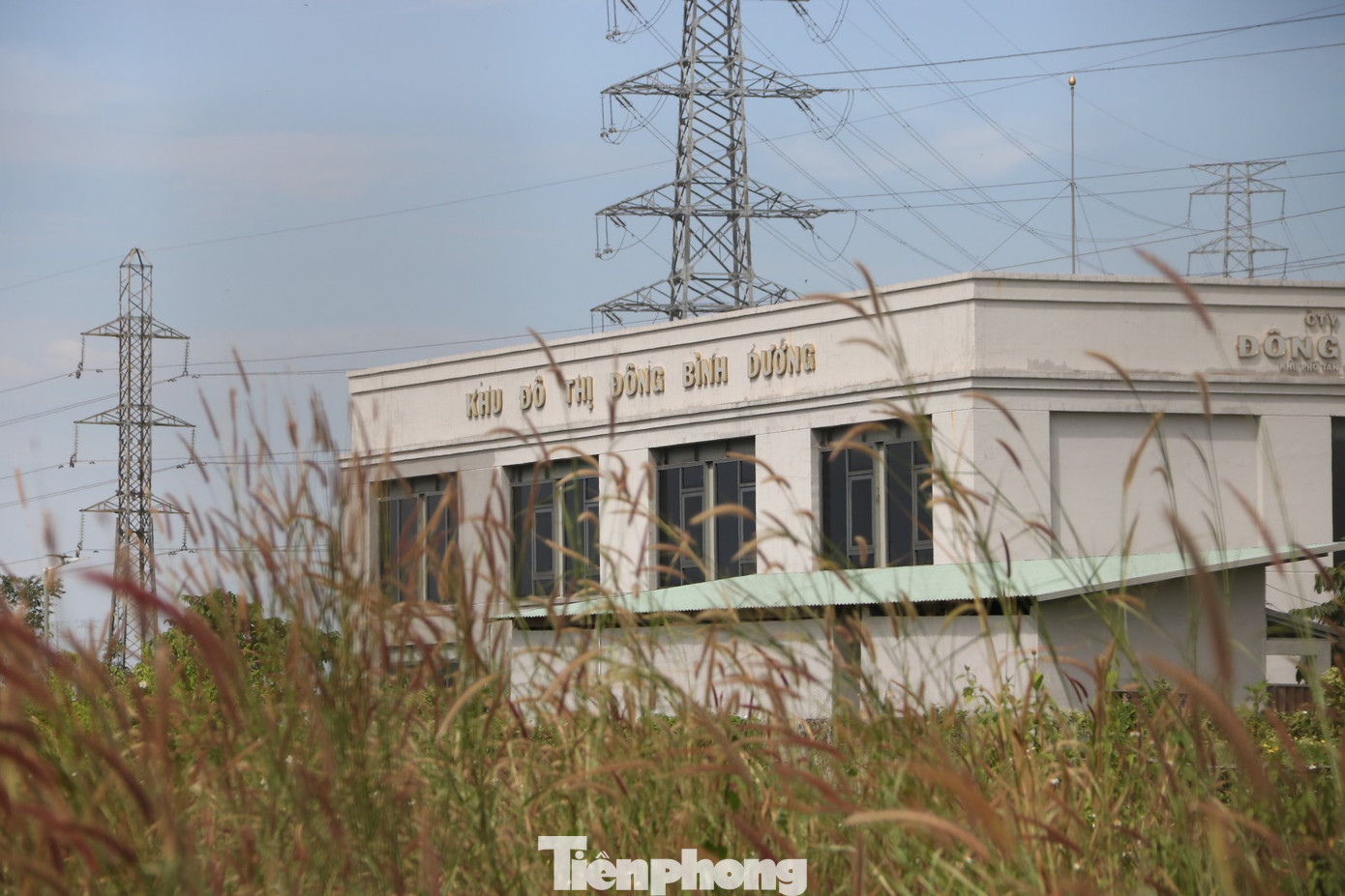 Sau đó, Công ty TNHH Phát triển Đô thị Đông Bình Dương được thành lập để thực hiện dự án này.