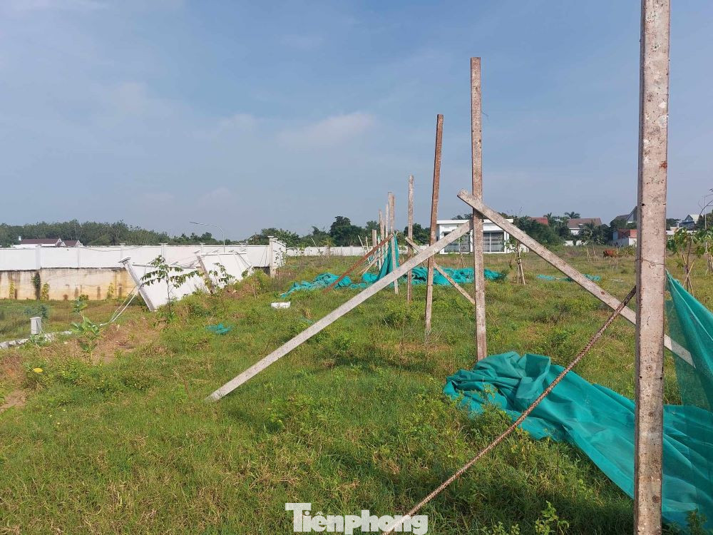 Ngành chức năng tiến hành phong tỏa khu vực tường rào bị đổ. Ngành chức năng tiến hành phong tỏa khu vực tường rào bị đổ.