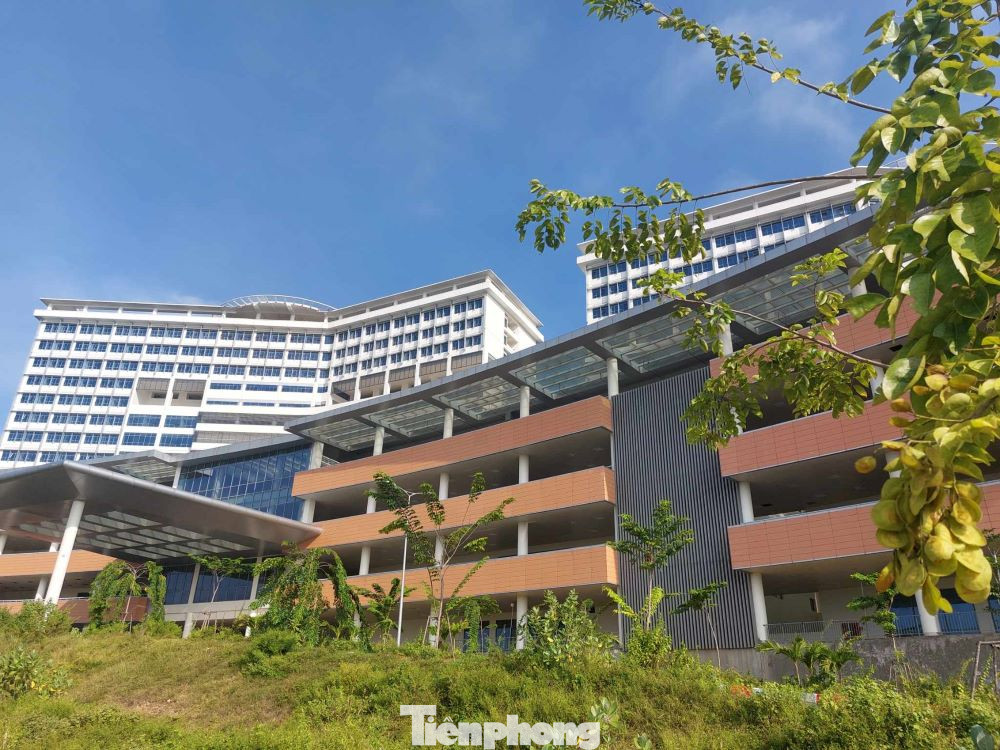 Để đáp ứng nhu cầu chăm sóc sức khỏe nhân dân, trong điều kiện Bệnh viện Đa khoa tỉnh xuống cấp, quá tải, tỉnh Bình Dương đã thực hiện xây dựng dự án Bệnh viện Đa khoa cơ sở mới quy mô trên 1.500 giường để thay thế. Để đáp ứng nhu cầu chăm sóc sức khỏe nhân dân, trong điều kiện Bệnh viện Đa khoa tỉnh xuống cấp, quá tải, tỉnh Bình Dương đã thực hiện xây dựng dự án Bệnh viện Đa khoa cơ sở mới quy mô trên 1.500 giường để thay thế.