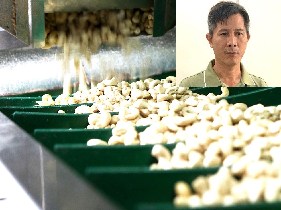 Sau khi nhập nguyên liệu thô để hưởng ưu đãi thuế, Lưu Hồng Sơn (ảnh nhỏ) không chế biến để xuất khẩu mà tiêu thụ trong nước