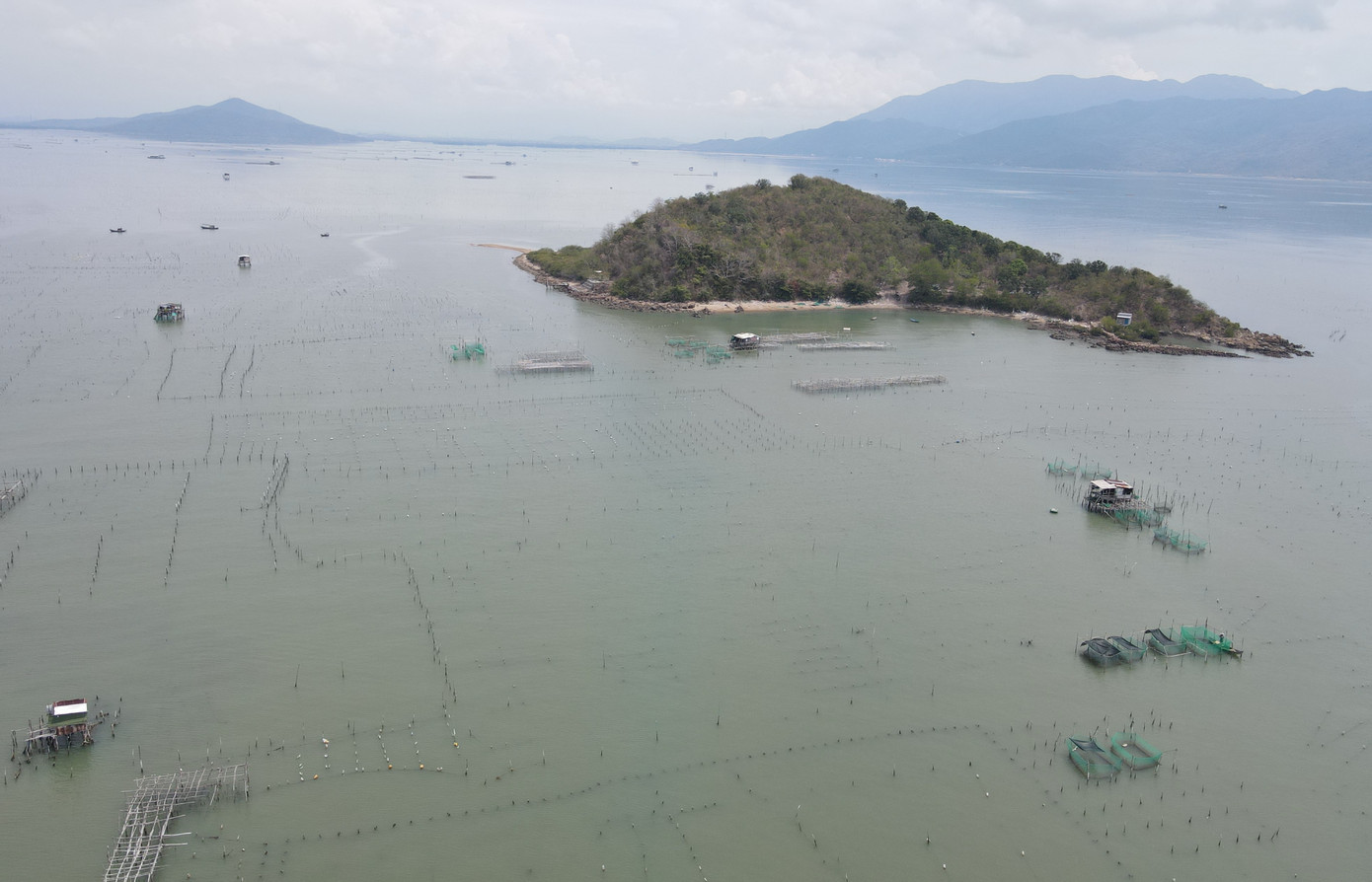 Ngư dân địa phương đi lại gặp khó khăn khi trên đầm Nha Phu có hàng trăm bãi cọc.