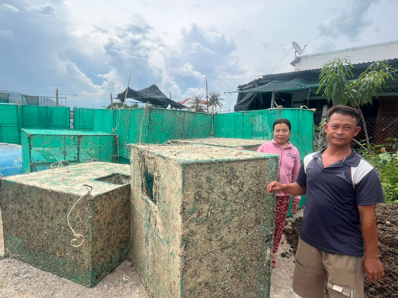 Vợ chồng bà Hà không còn đủ tiền nuôi tôm nên phải đưa lồng nuôi về nhà. Vợ chồng bà Hà không còn đủ tiền nuôi tôm nên phải đưa lồng nuôi về nhà.