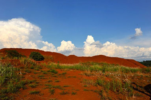 Quặng bauxite tại địa điểm dự kiến xây dựng nhà máy tuyển quặng bauxite phục vụ cho nhà máy alumina Nhân Cơ