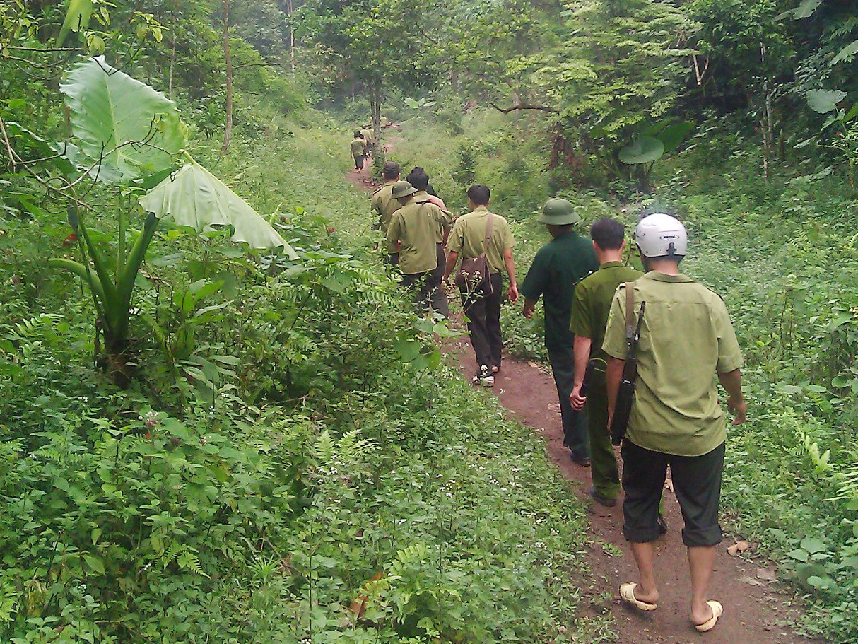 Tổ công tác liên ngành trong đợt truy quét, tiêu huỷ 16 lán trại của lâm tặc ở khu Lân Đất đỏ, thuộc xã Nghinh Tường, huyện Võ Nhai. Ảnh tư liệu. 