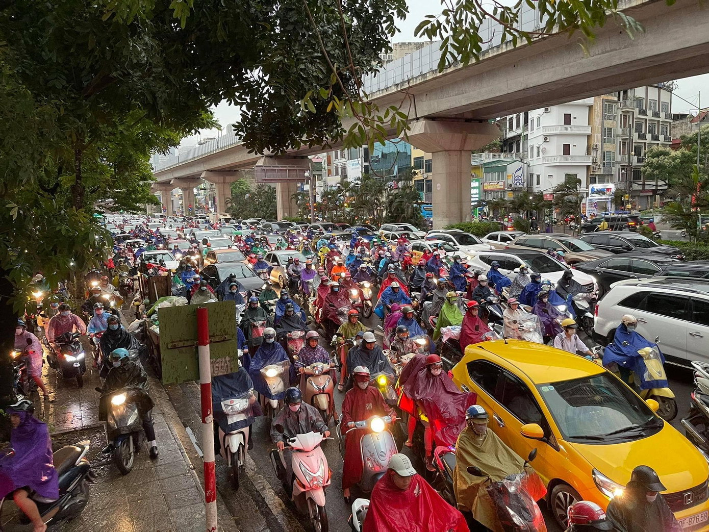 Ảnh Như Ý Ảnh Như Ý