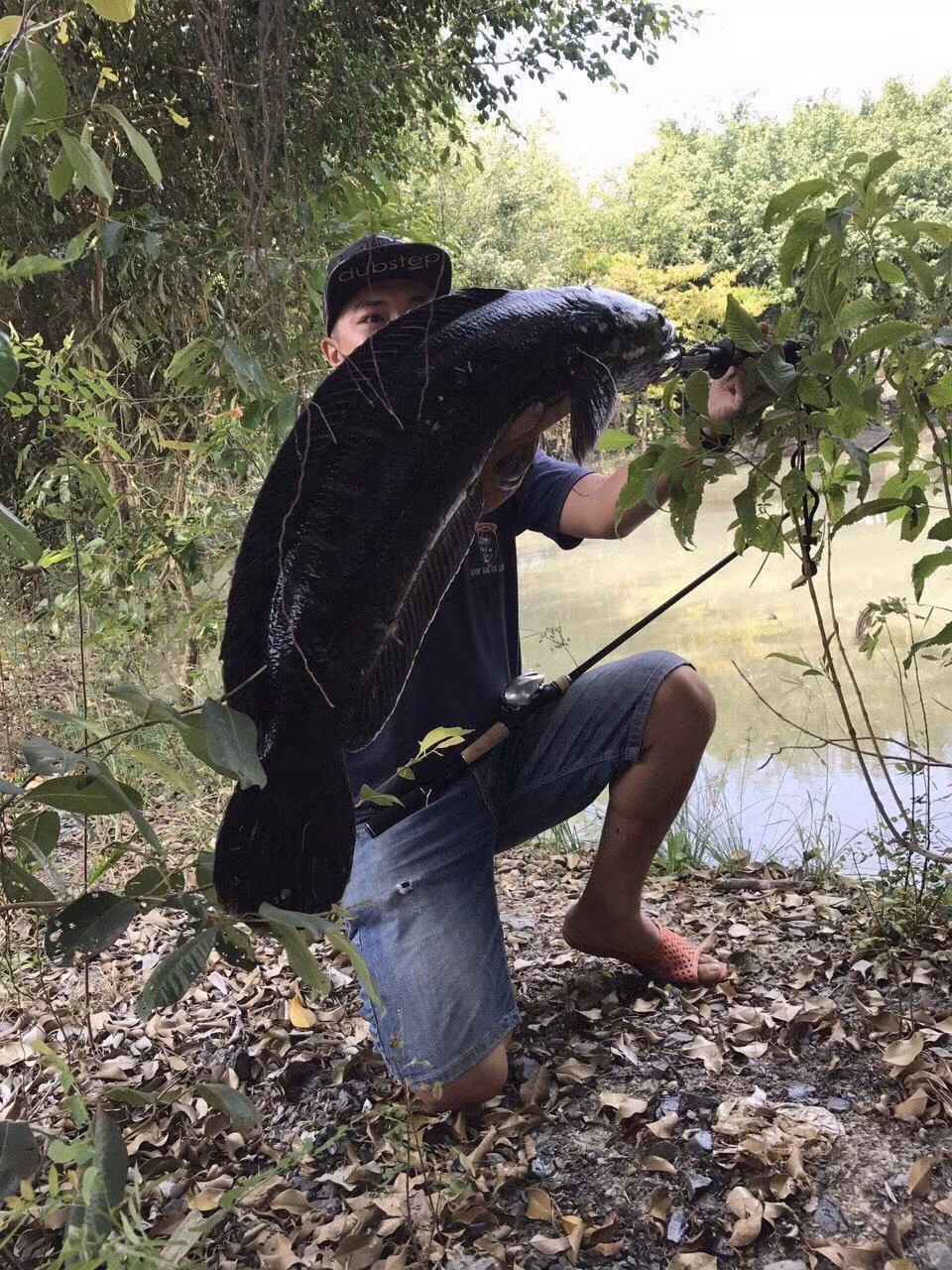 “Phượt” trên cung đường xanh ảnh 1