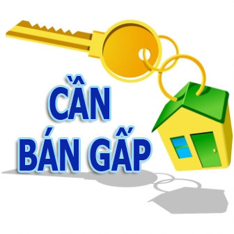 Bán nhà kiểu mới như CenHomes sẽ mở ‘nút thắt’ của thị trường ảnh 1