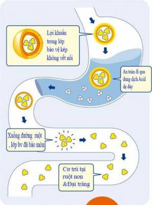 3 lý do Bifina trở thành sản phẩm bán chạy số 1 Nhật Bản 21 năm liền ảnh 2