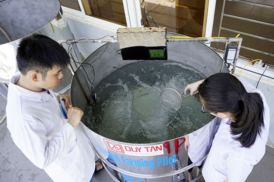 Khoa học Môi trường - ngành học giữ màu xanh cho trái đất ảnh 4