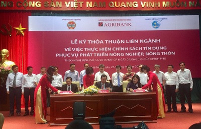 Agribank tiếp sức nông sản Việt ra thế giới ảnh 2