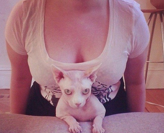 Trào lưu này được khởi xướng bởi 2 người phụ nữ đến từ New York, Mỹ là Michelle Lamont và Michelle Jaret 