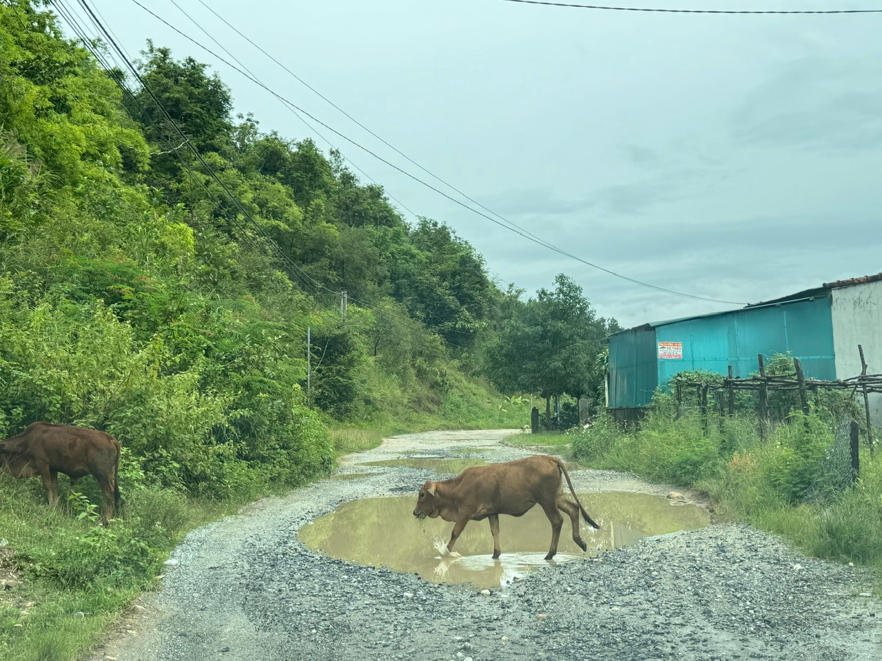 Các tuyến đường ĐH 83, ĐH 85 hư hỏng, xuống cấp vì lưu lượng phương tiện vận chuyển quá lớn