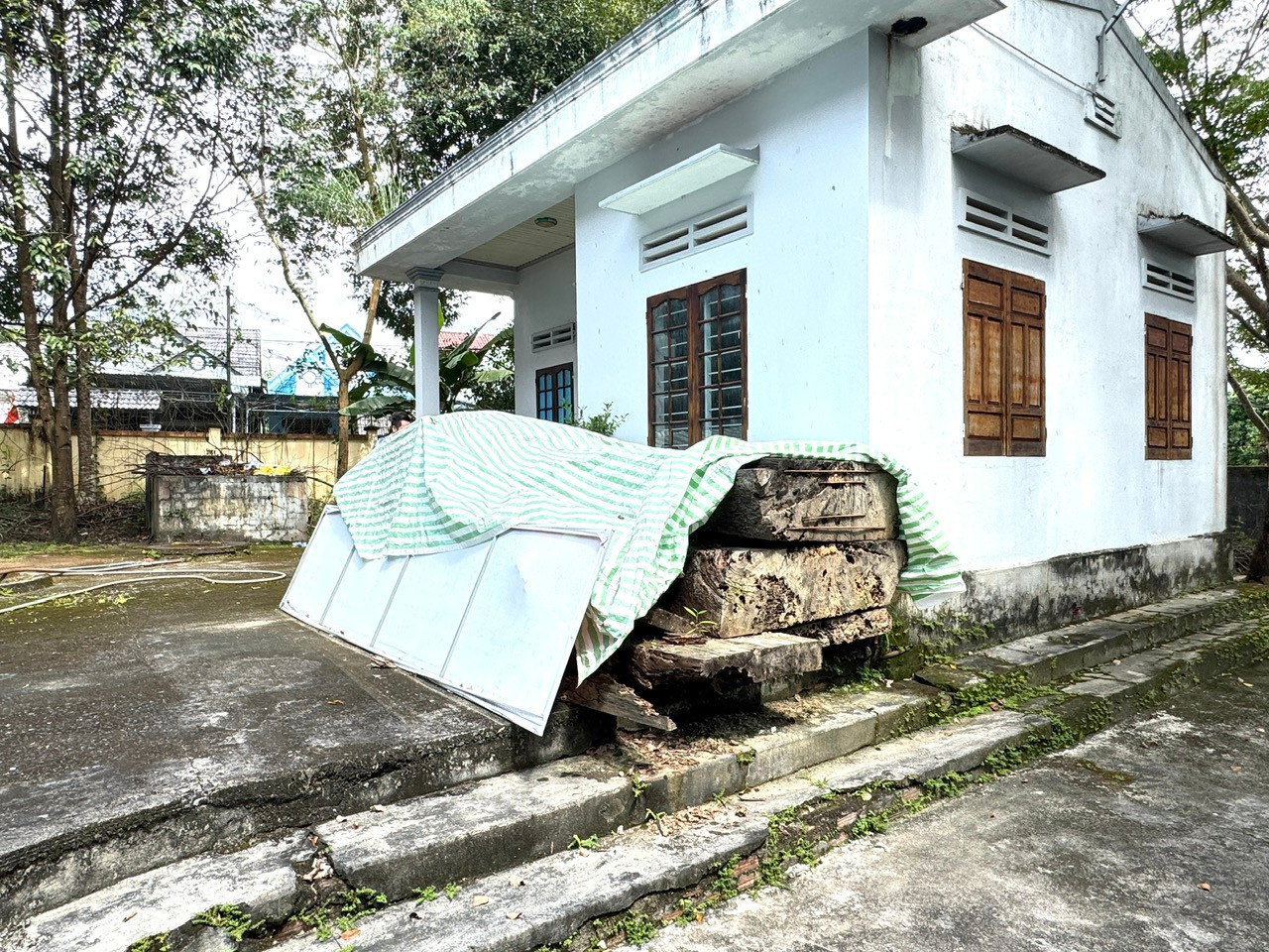 Dự kiến ngày 17/10, số gỗ này được bán với giá 20 triệu đồng