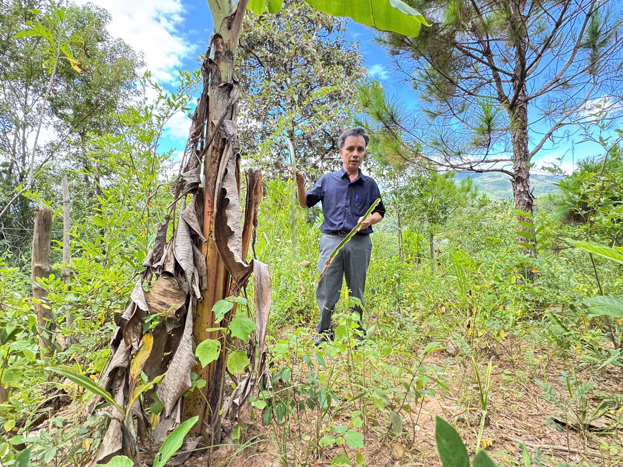 UBND xã Đắk Pék nhanh chóng tuyên truyền, phân tích cho người dân việc làm sai quy định