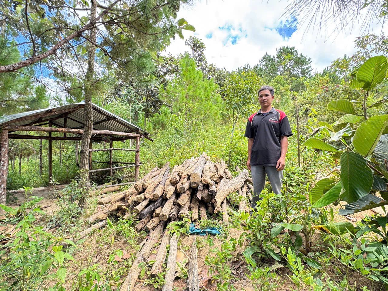 Người dân tự nguyện tháo dỡ cây trồng, nhà chòi sai phạm