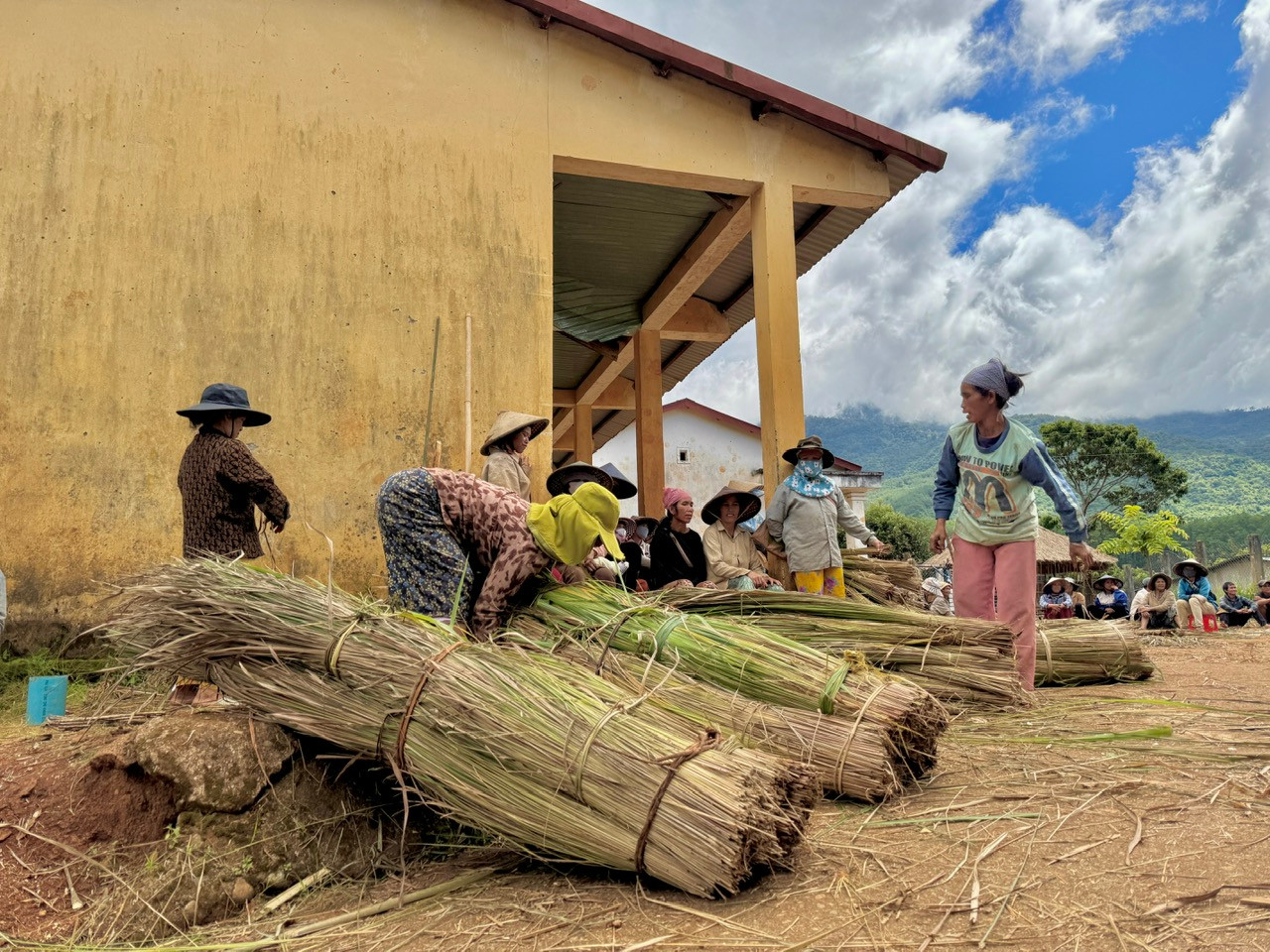 Đàn ông đảm nhận lớp mái trên cao, phụ nữ chuẩn bị lá tranh, đan lá. Đàn ông đảm nhận lớp mái trên cao, phụ nữ chuẩn bị lá tranh, đan lá.