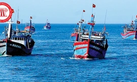 Thuyền trưởng hầu tòa vì tổ chức cho ngư dân xuất cảnh trái phép